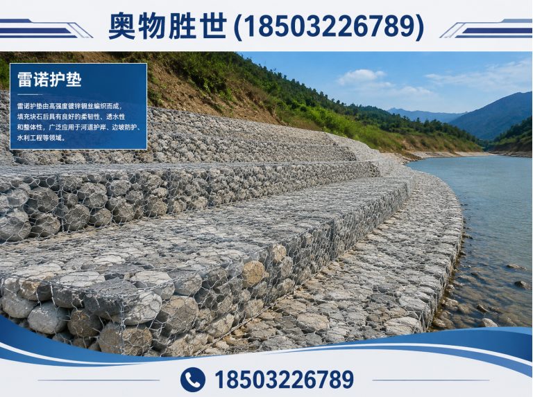 呼伦贝尔雷诺护垫展示图